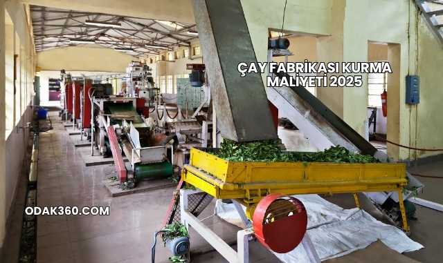 Çay Fabrikası Kurma Maliyeti 2025