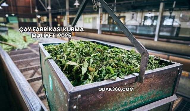 Çay Fabrikası Kurma Maliyeti 2025