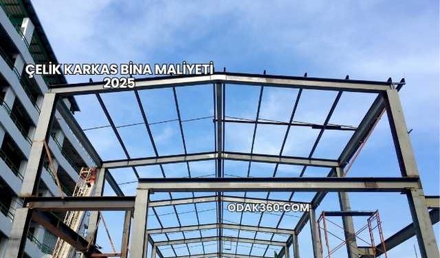 Çelik Karkas Bina Maliyeti 2025