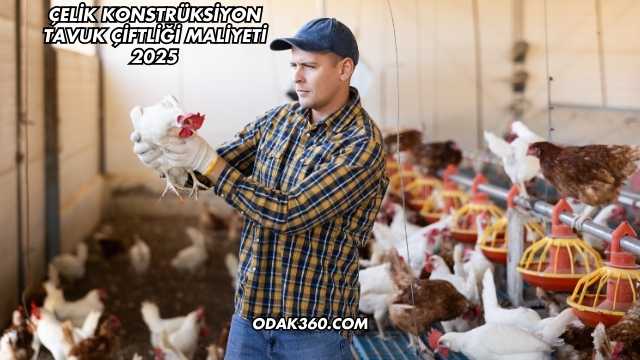 Çelik Konstrüksiyon Tavuk Çiftliği Maliyeti 2025