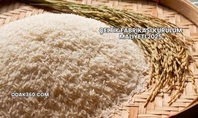 Çeltik Fabrikası Kurulum Maliyeti 2025