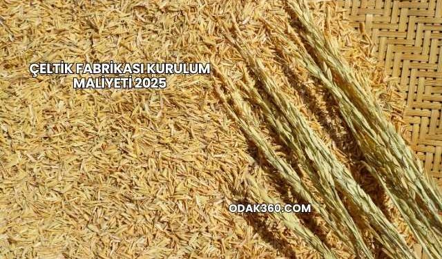 Çeltik Fabrikası Kurulum Maliyeti 2025