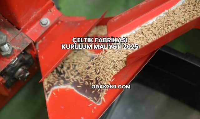 Çeltik Fabrikası Kurulum Maliyeti 2025