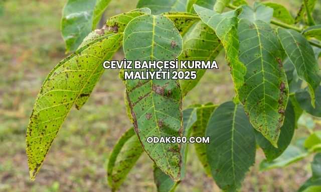 Ceviz Bahçesi Kurma Maliyeti 2025