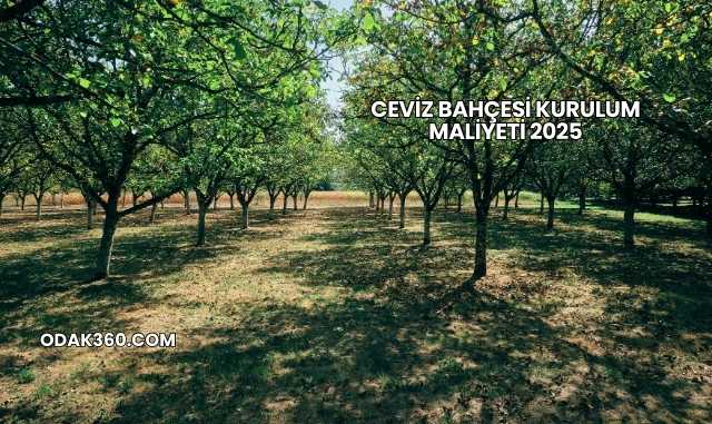 Ceviz Bahçesi Kurulum Maliyeti 2025