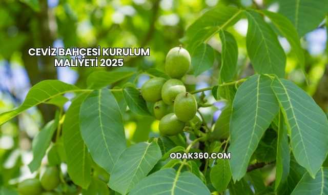 Ceviz Bahçesi Kurulum Maliyeti 2025