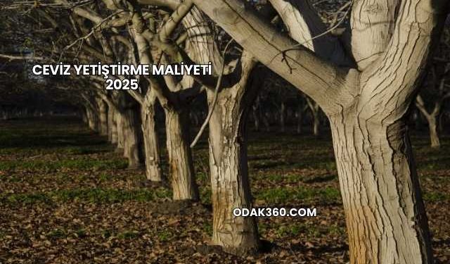Ceviz Yetiştirme Maliyeti 2025
