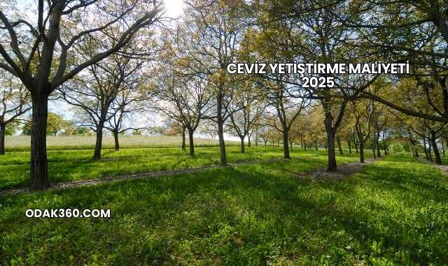 Ceviz Yetiştirme Maliyeti 2025