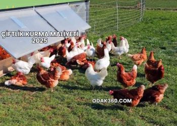 Çiftlik Kurma Maliyeti 2025