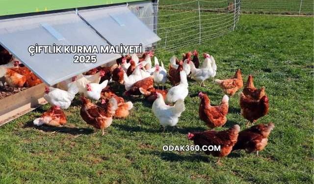 Çiftlik Kurma Maliyeti 2025