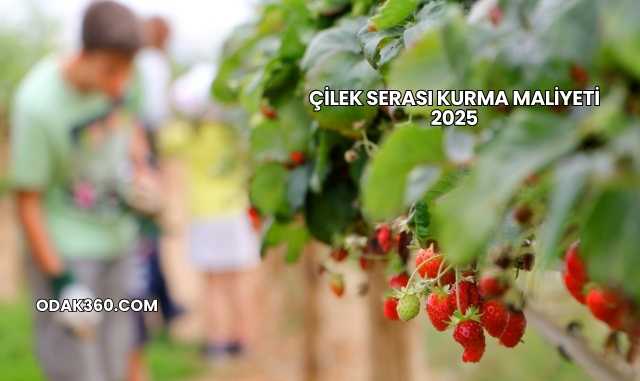 Çilek Serası Kurma Maliyeti 2025