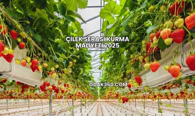 Çilek Serası Kurma Maliyeti 2025