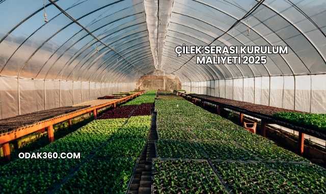 Çilek Serası Kurulum Maliyeti 2025