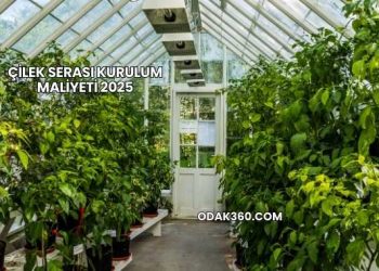 Çilek Serası Kurulum Maliyeti 2025