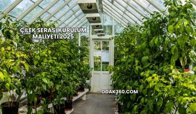 Çilek Serası Kurulum Maliyeti 2025