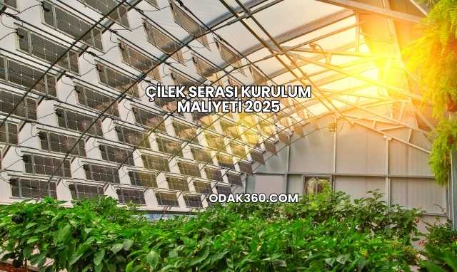 Çilek Serası Kurulum Maliyeti 2025