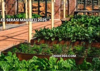 Çilek Serası Maliyeti 2025