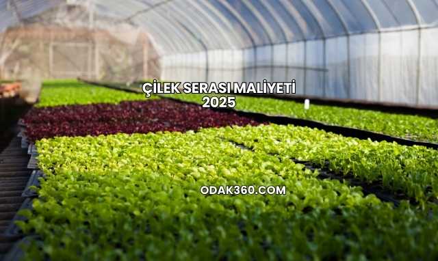 Çilek Serası Maliyeti 2025