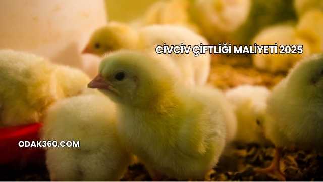 Civciv Çiftliği Maliyeti 2025