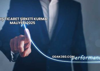 Dış Ticaret Şirketi Kurma Maliyeti 2025