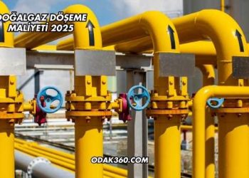 Doğalgaz Döşeme Maliyeti 2025