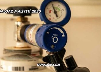 Doğalgaz Maliyeti 2025