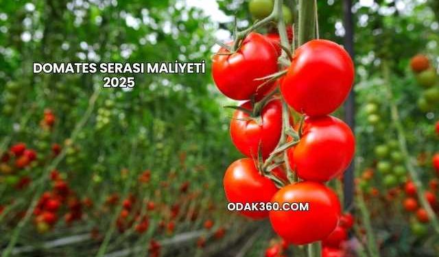 Domates Serası Maliyeti 2025