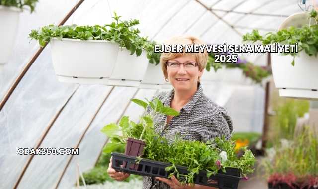 Ejder Meyvesi Sera Maliyeti 2025
