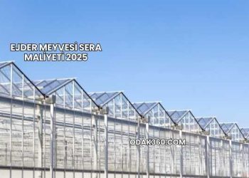 Ejder Meyvesi Sera Maliyeti 2025