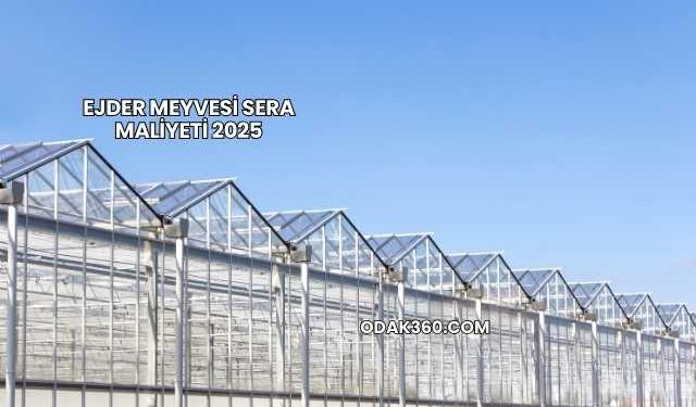 Ejder Meyvesi Sera Maliyeti 2025