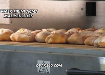 Ekmek Fırını Açma Maliyeti 2025