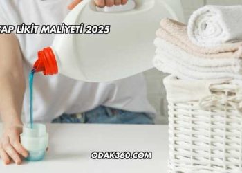 Evyap Likit Maliyeti 2025