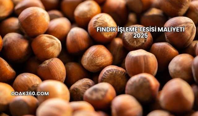 Fındık İşleme Tesisi Maliyeti 2025