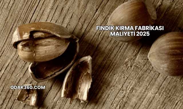 Fındık Kırma Fabrikası Maliyeti 2025