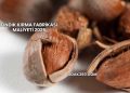 Fındık Kırma Fabrikası Maliyeti 2025