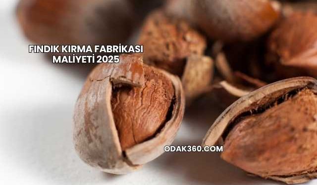 Fındık Kırma Fabrikası Maliyeti 2025