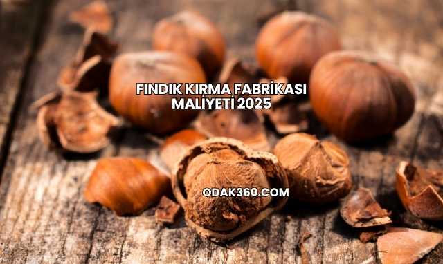 Fındık Kırma Fabrikası Maliyeti 2025