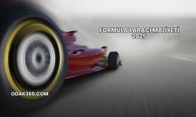 Formula 1 Aracı Maliyeti 2025