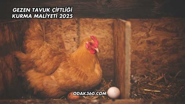 Gezen Tavuk Çiftliği Kurma Maliyeti 2025