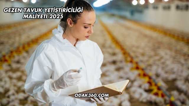 Gezen Tavuk Yetiştiriciliği Maliyeti 2025