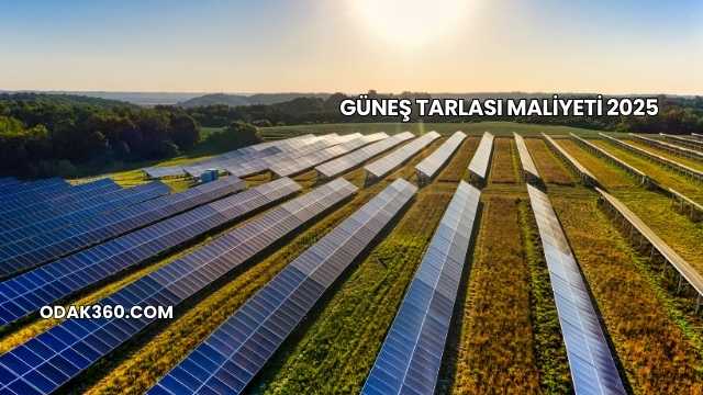 Güneş Tarlası Maliyeti 2025