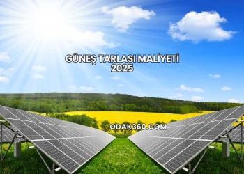 Güneş Tarlası Maliyeti 2025