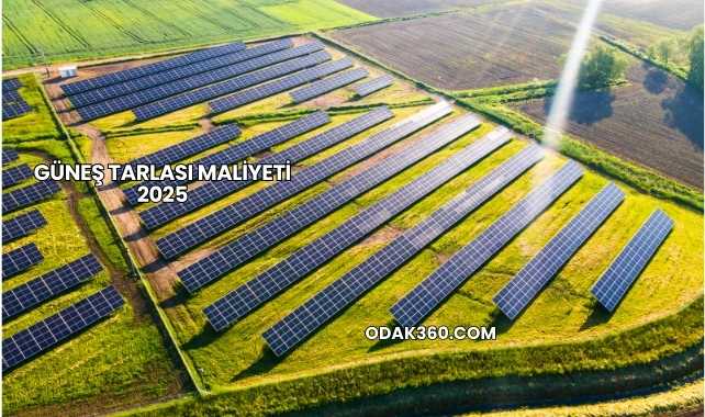 Güneş Tarlası Maliyeti 2025