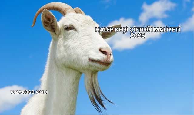 Halep Keçi Çiftliği Maliyeti 2025