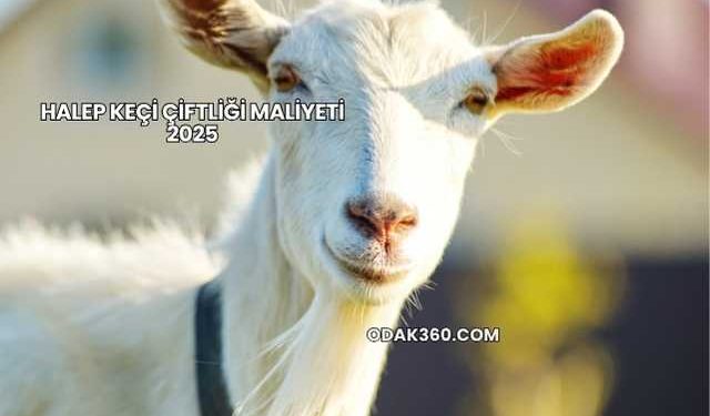 Halep Keçi Çiftliği Maliyeti 2025