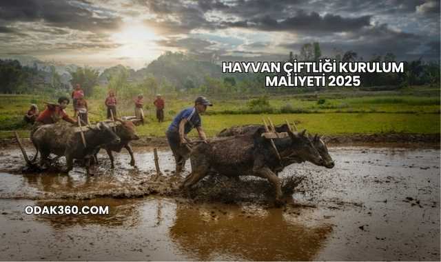 Hayvan Çiftliği Kurulum Maliyeti 2025