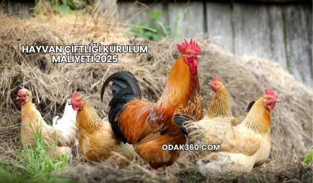 Hayvan Çiftliği Kurulum Maliyeti 2025