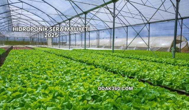 Hidroponik Sera Maliyeti 2025