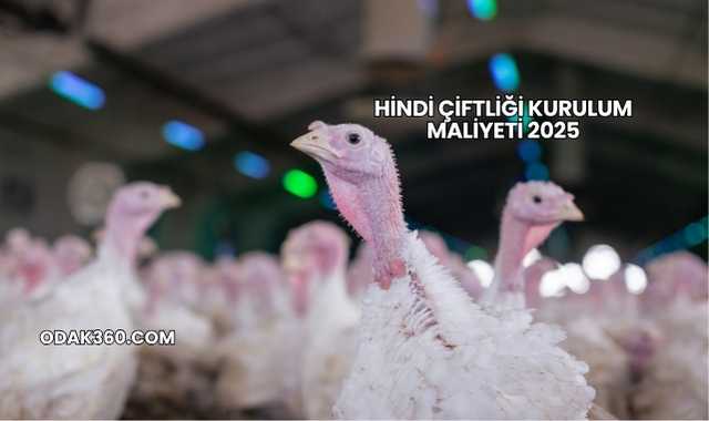 Hindi Çiftliği Kurulum Maliyeti 2025