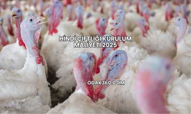 Hindi Çiftliği Kurulum Maliyeti 2025